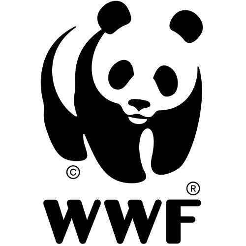 Il WWF Corigliano Rossano per la “Giornata Mondiale dell’Ambiente”